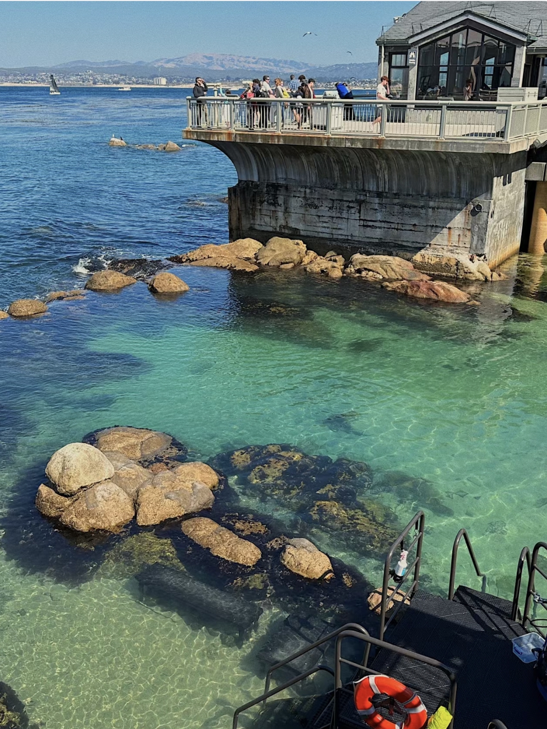 Where to go on a Bay Area Weekend | Monterey Bay Aquarium