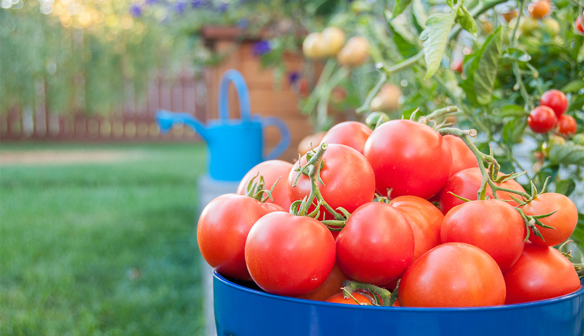why homegrown tomatoes taste like childhood summers