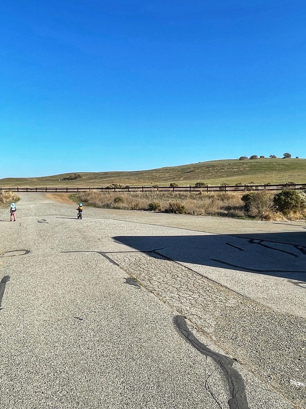 Permanente Creek Trail Guide