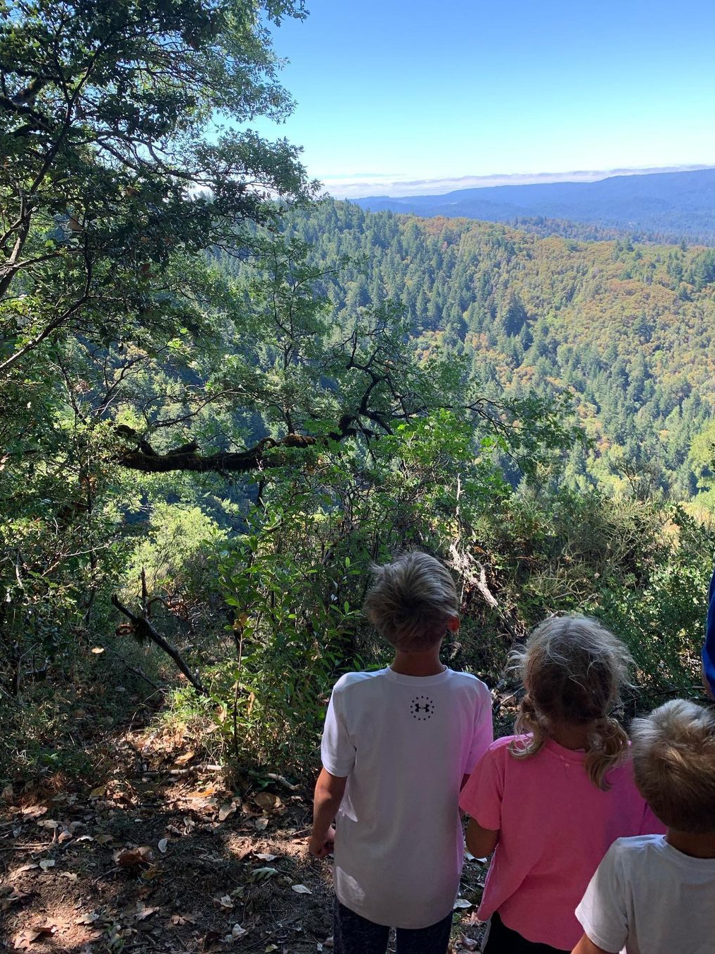 Explore Castle Rock State Park With Kids!