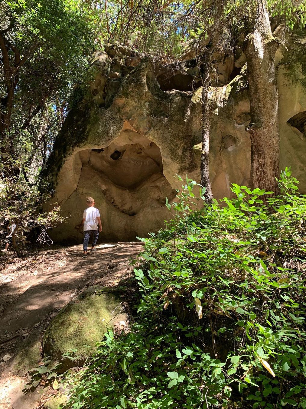Explore Castle Rock State Park With Kids!