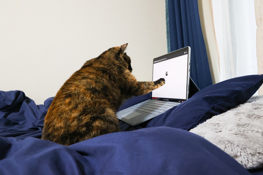 My Cat Thinks He Owns the Place (He’s Right)