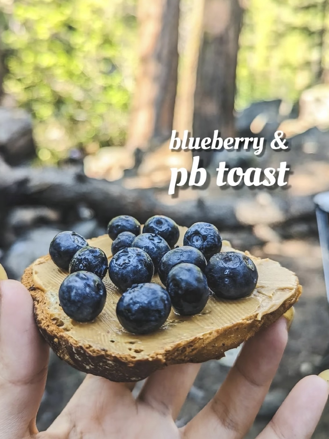 Eating Like a King at Camping