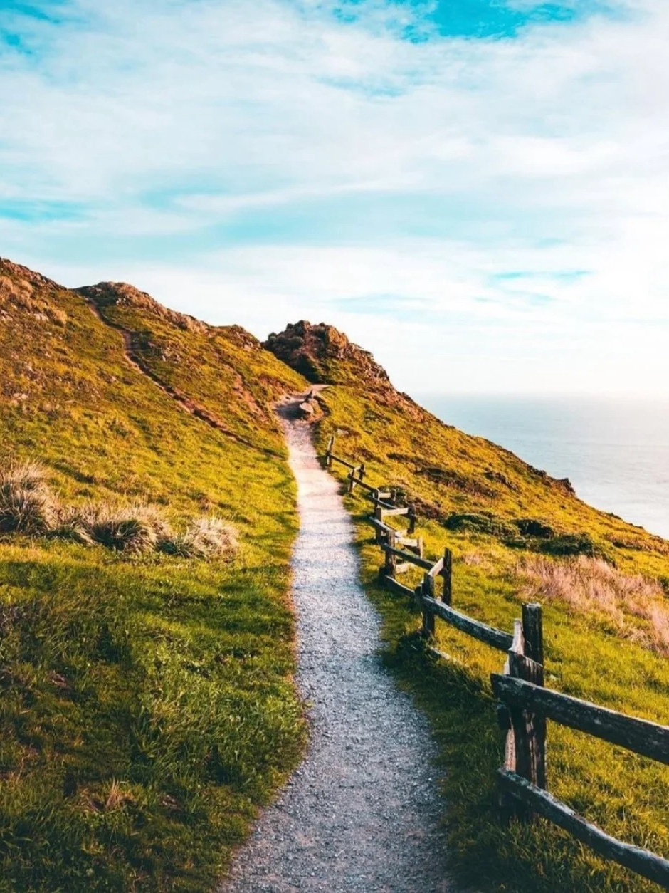Exploring the Bay Area | Unveiling Five Hidden Gems You've Never Heard Of