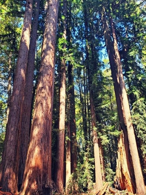 An Outdoor Lovers Guide in and Around Gilroy, California