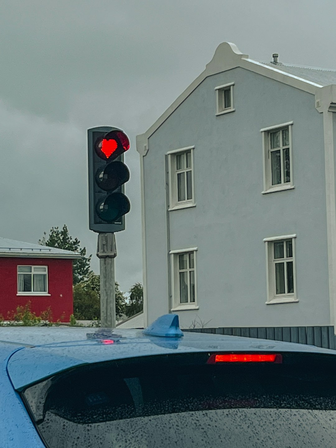 What To Do When Someone Reverses at a Red Light