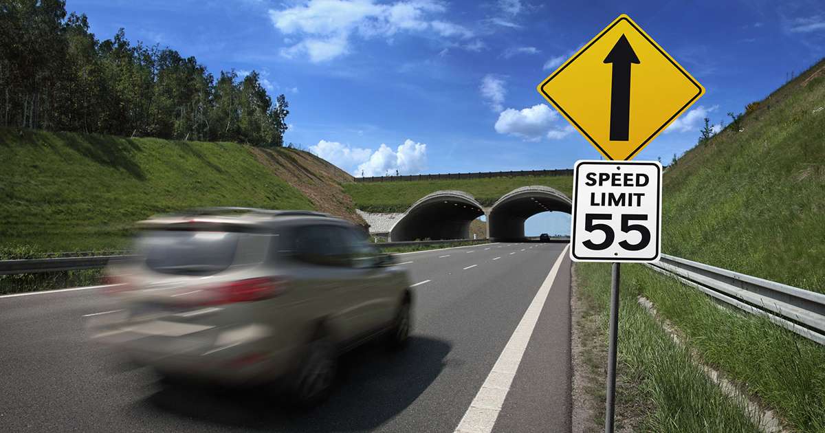 Is Sticking to the Speed Limit Really Too Slow? My Honest Take
