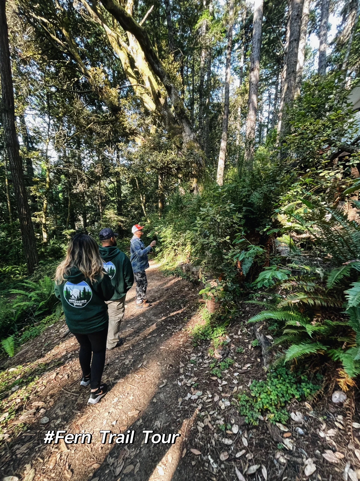 North California | Relax for Three Days in a Luxurious Forest Coast Camping 🏕️