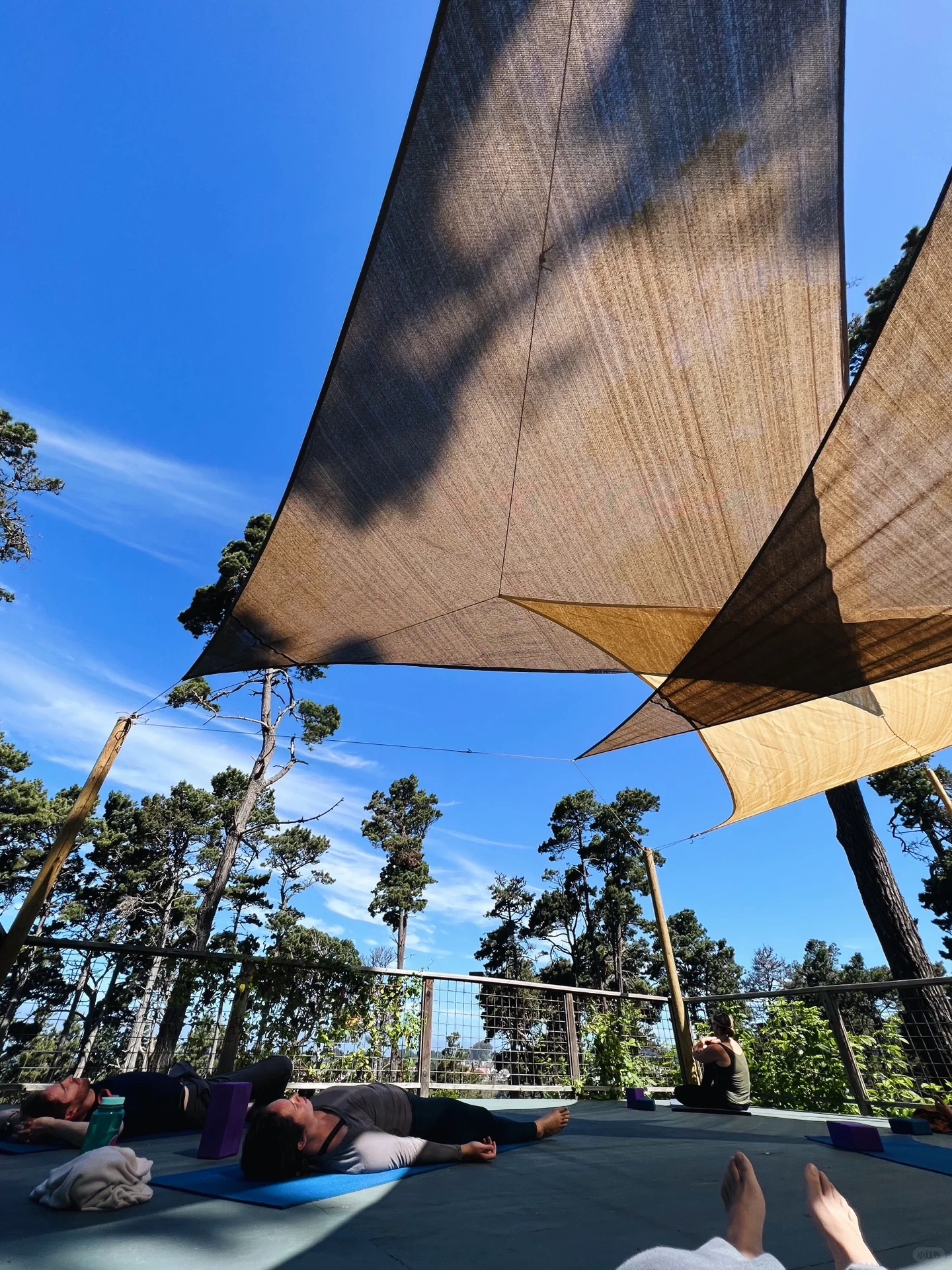 North California | Relax for Three Days in a Luxurious Forest Coast Camping 🏕️
