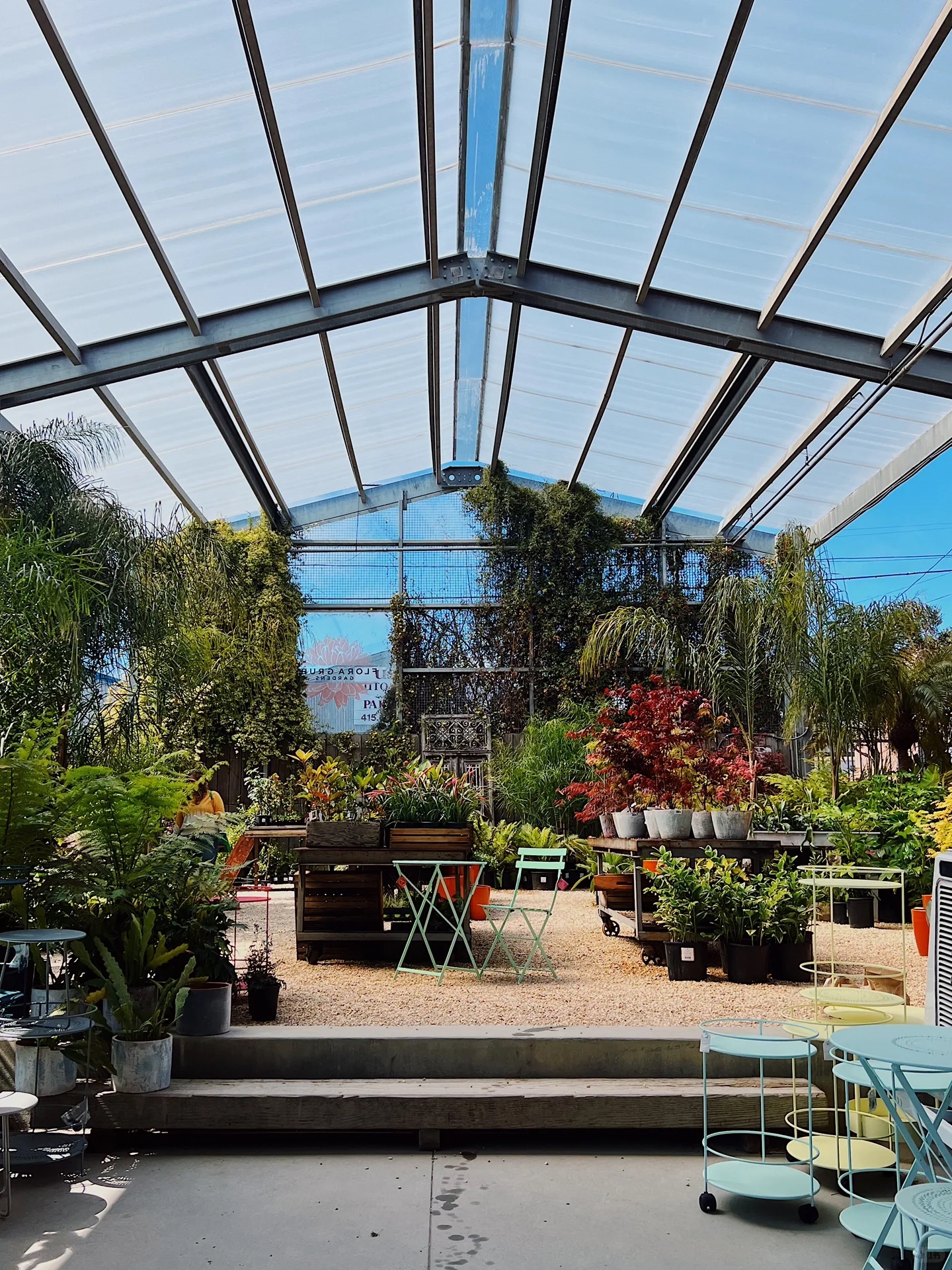 San Francisco | Cute Plant Shop 🪴