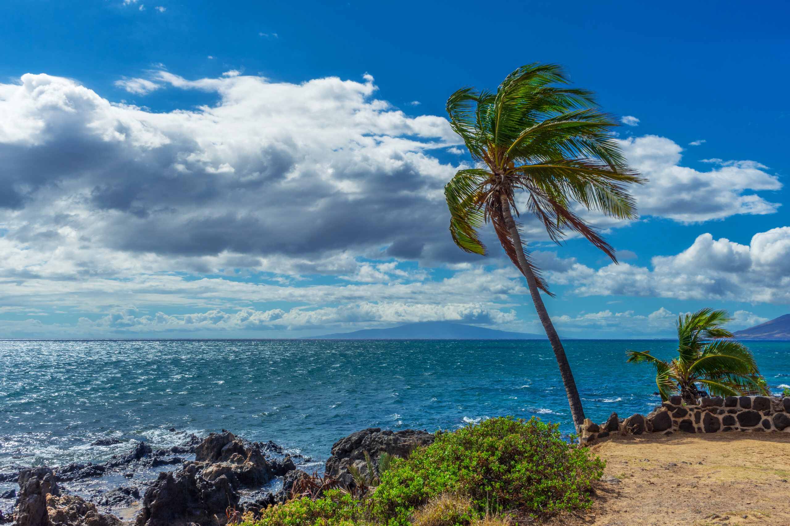 MIL’s Broken Promises vs. Hawaiian Escapes🤯🌴