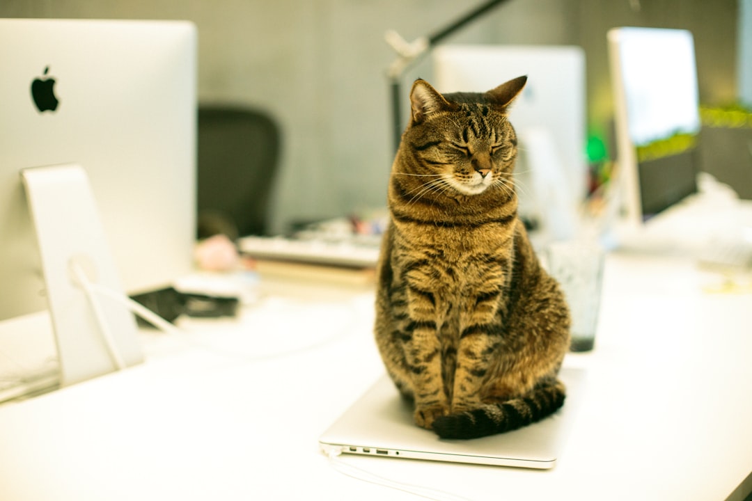 Is Staying at One Job for Years a Superpower or a Trap?