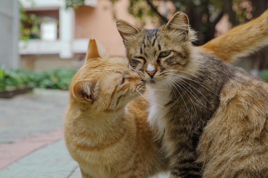 Friend’s Success Feels Like a Punch to the Gut