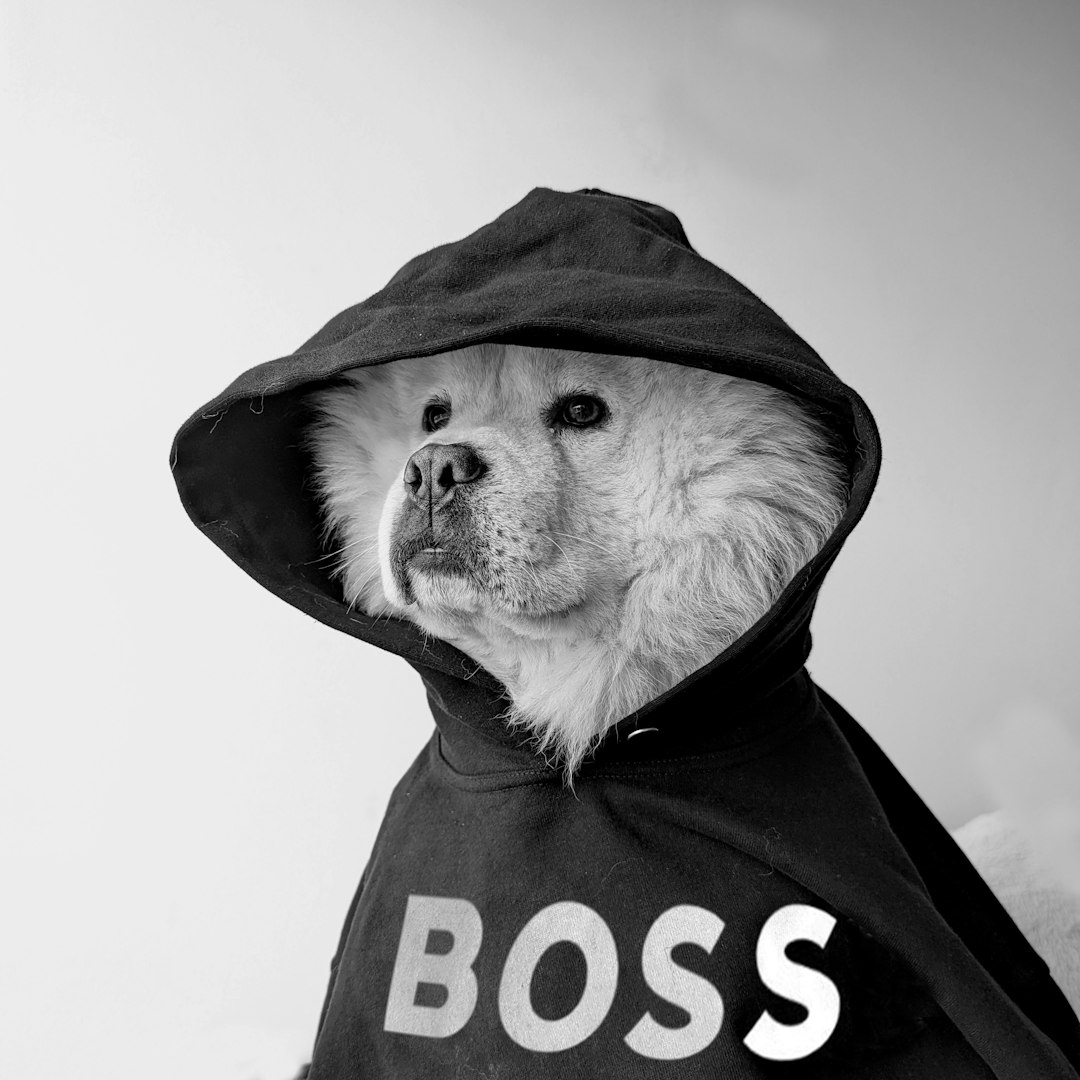  Boss Needs a Boss: Surviving a Micromanager