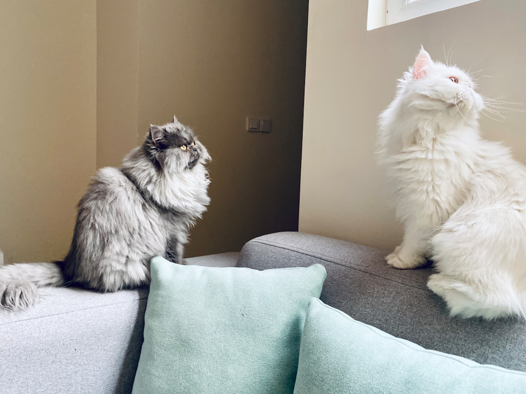 My Partner Won't Move In—Is My Relationship Doomed? 😢🏠