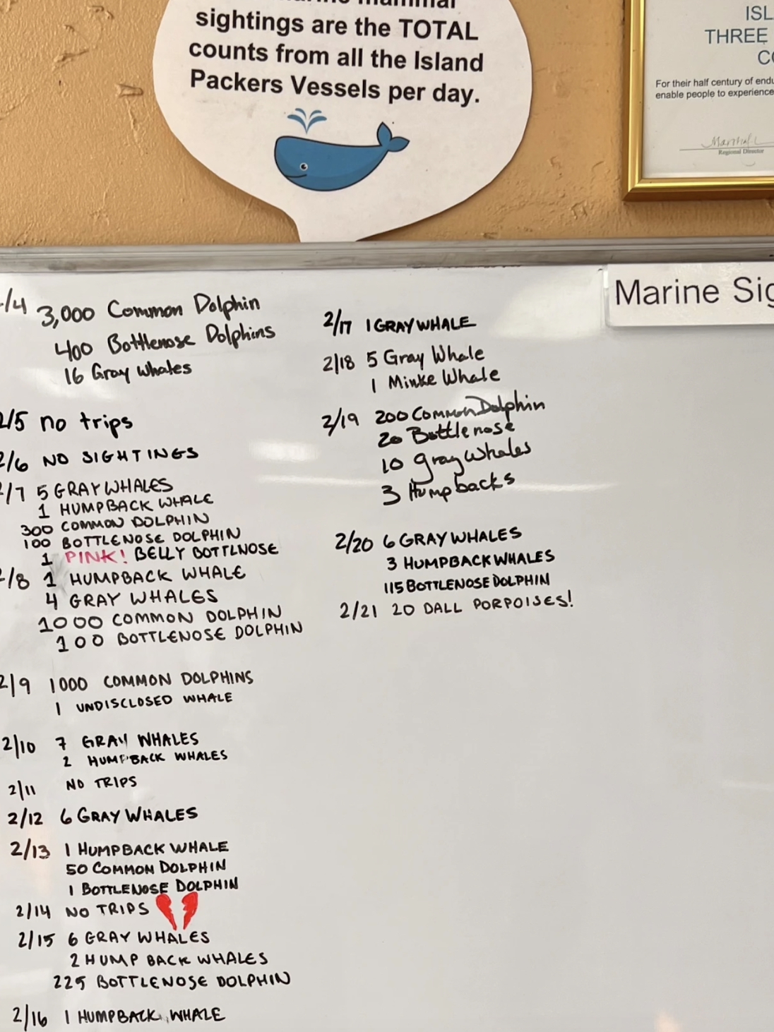 Uninhabited island off the coast of Southern California