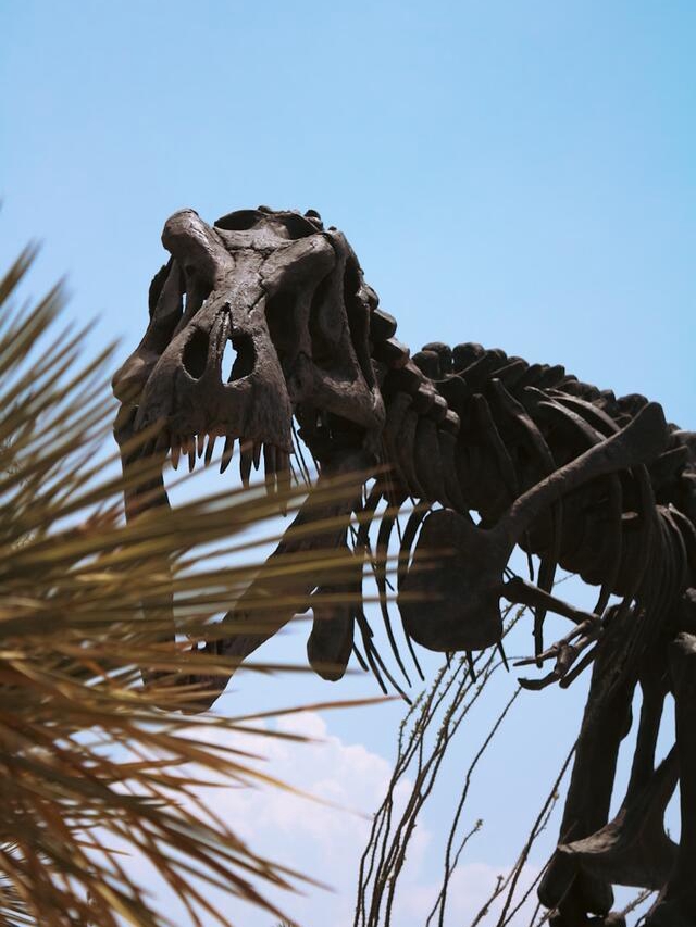 Dinosaurs’ Secret Seasonal Diets Revealed