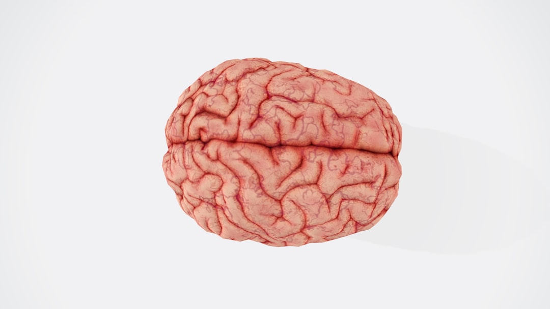 Your Brain on Your Cycle: Wild New Study