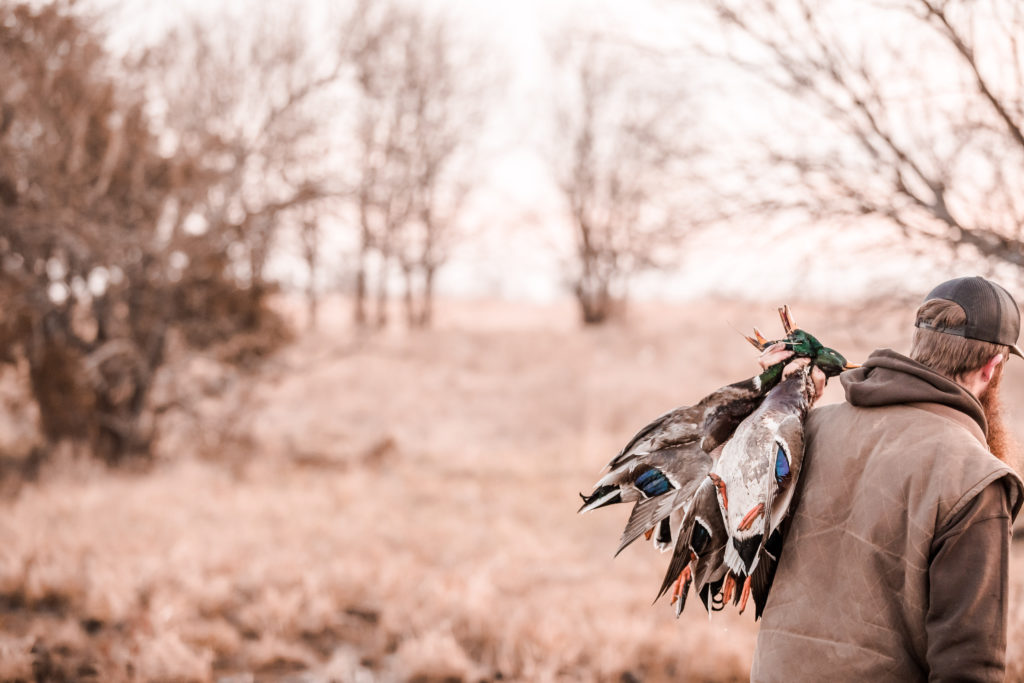 5 Game-Changing Tips to Stay Hidden from Waterfowl