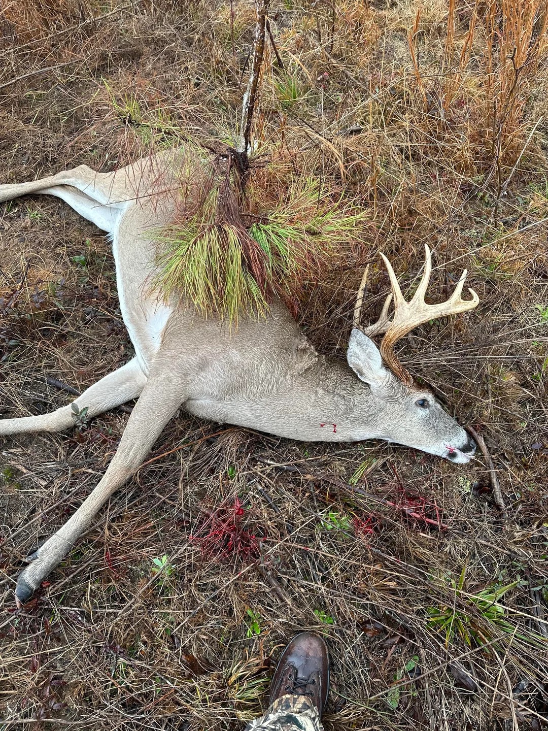 This beginner's first hunt blew my mind! 🤯