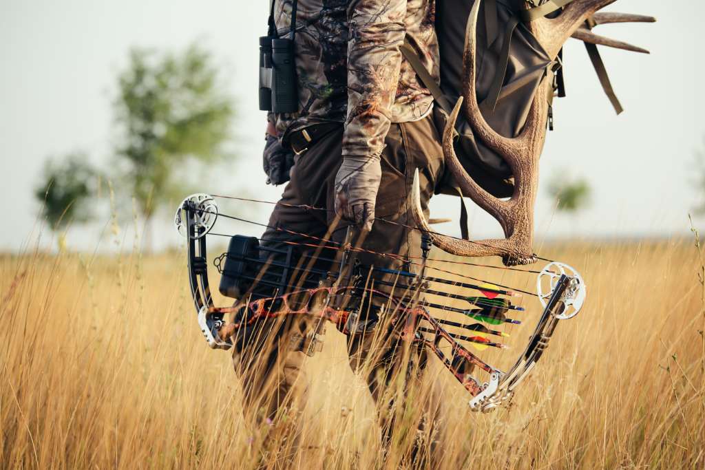 camo vs solids—does it really matter in hunting? 🤔