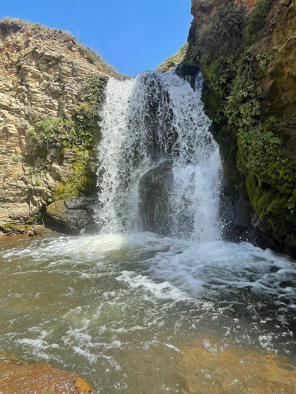 🌊🚶‍♀️ Bay Area | Coastline Hike Day Trip 🌲🌞