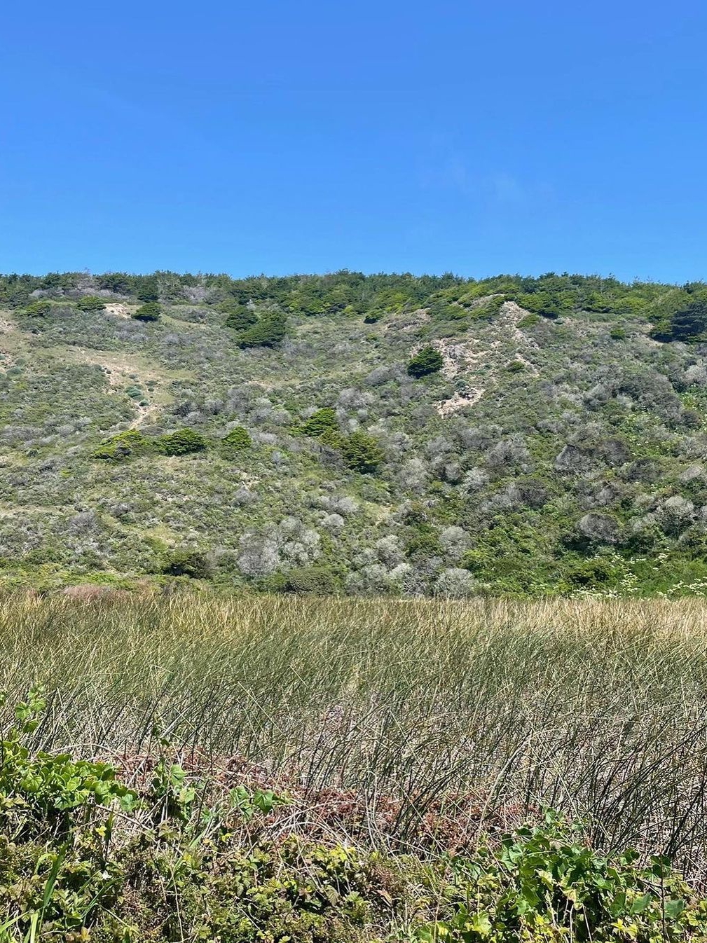 🌊🚶‍♀️ Bay Area | Coastline Hike Day Trip 🌲🌞