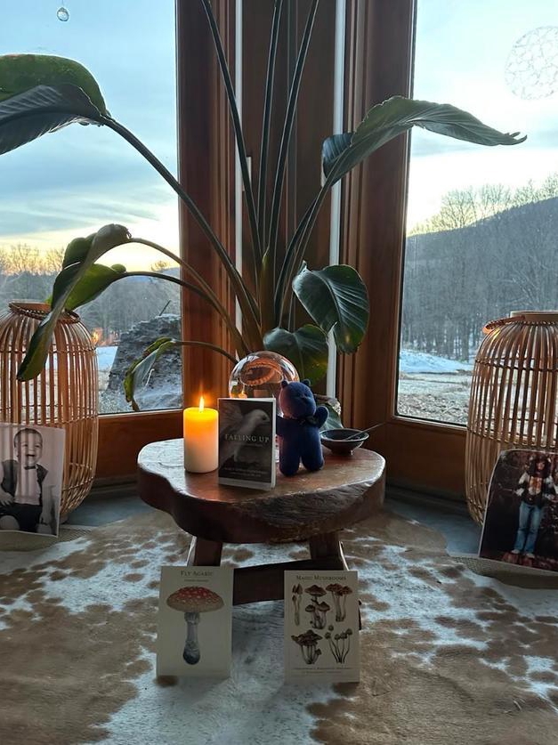 My Life-Changing Magic Mushroom Trip