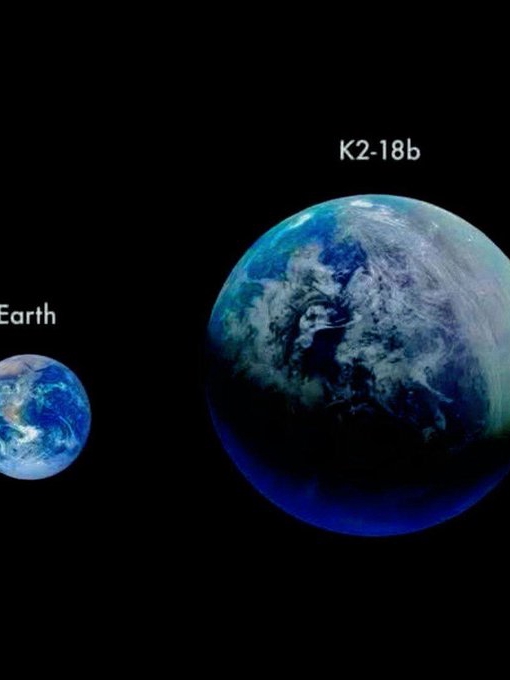Did NASA Really Find Alien Life?