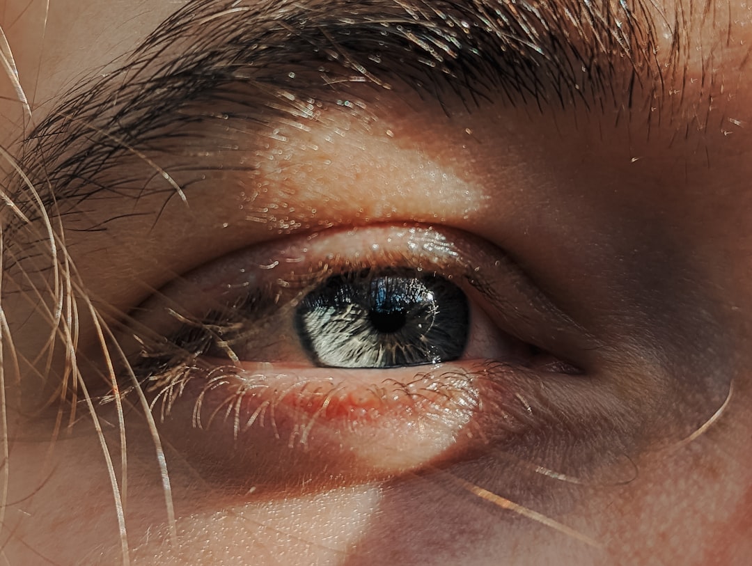 What Eyeshadow Really Paints: Light, Not Color