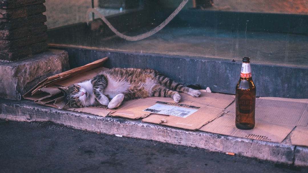 Job Hunting: The Ultimate Health Hazard?