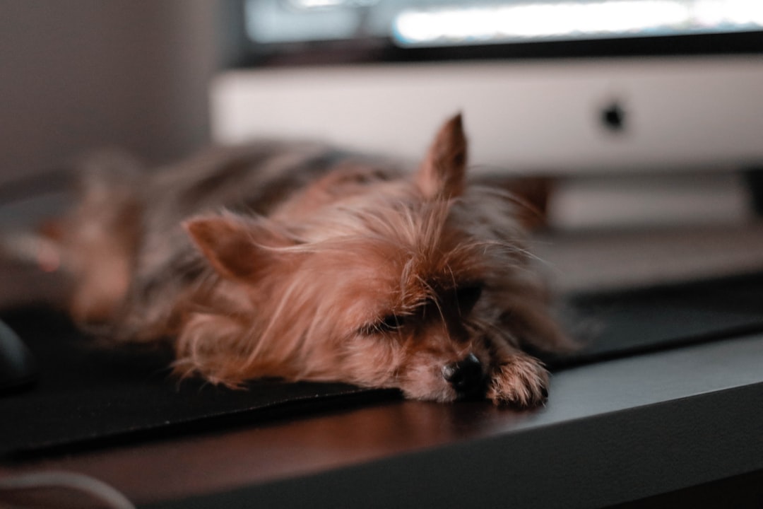 Is the 9-to-6 Office Grind Even Human?