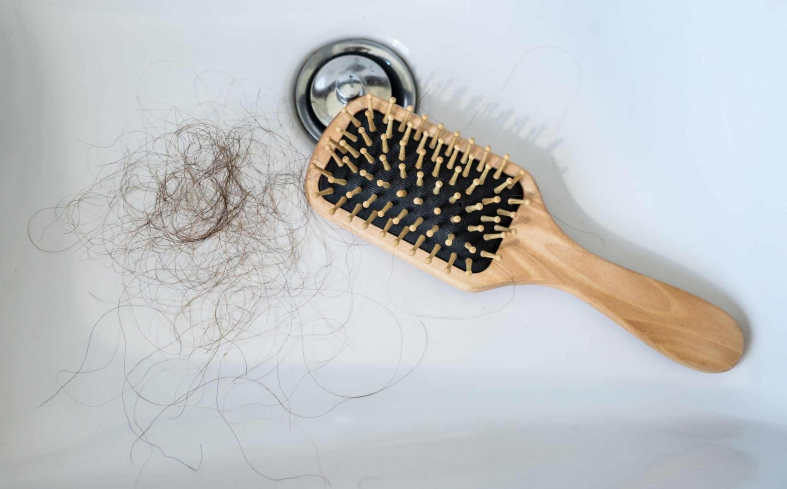 I Pretend My Hairbrush Isn’t Full of My Own Shame