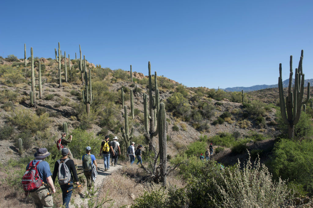 🙌 Trail Work Is the New Trail Magic Volunteer Days = Real-Deal Trail Love