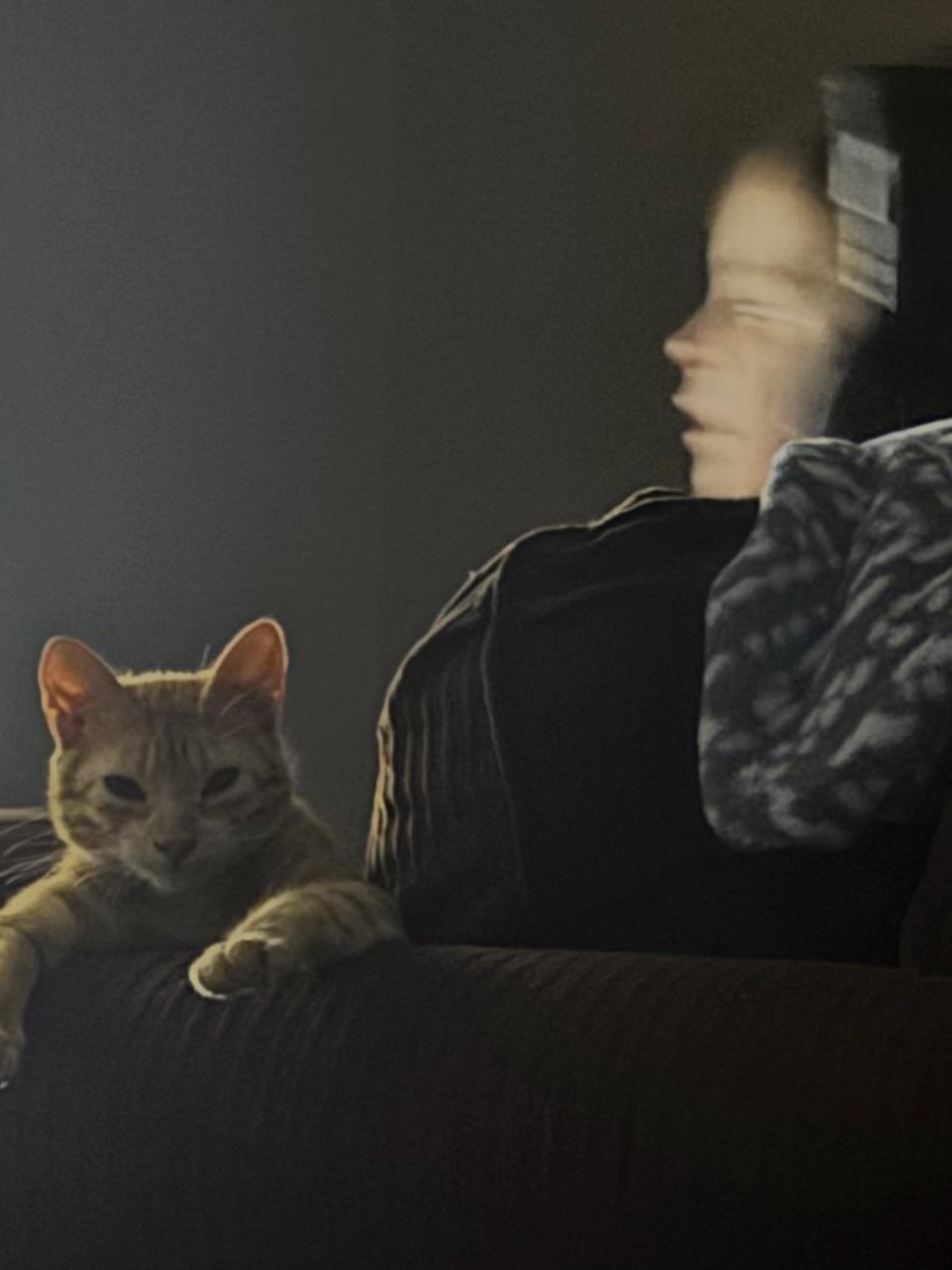 My cat appointed herself as my bodyguard
