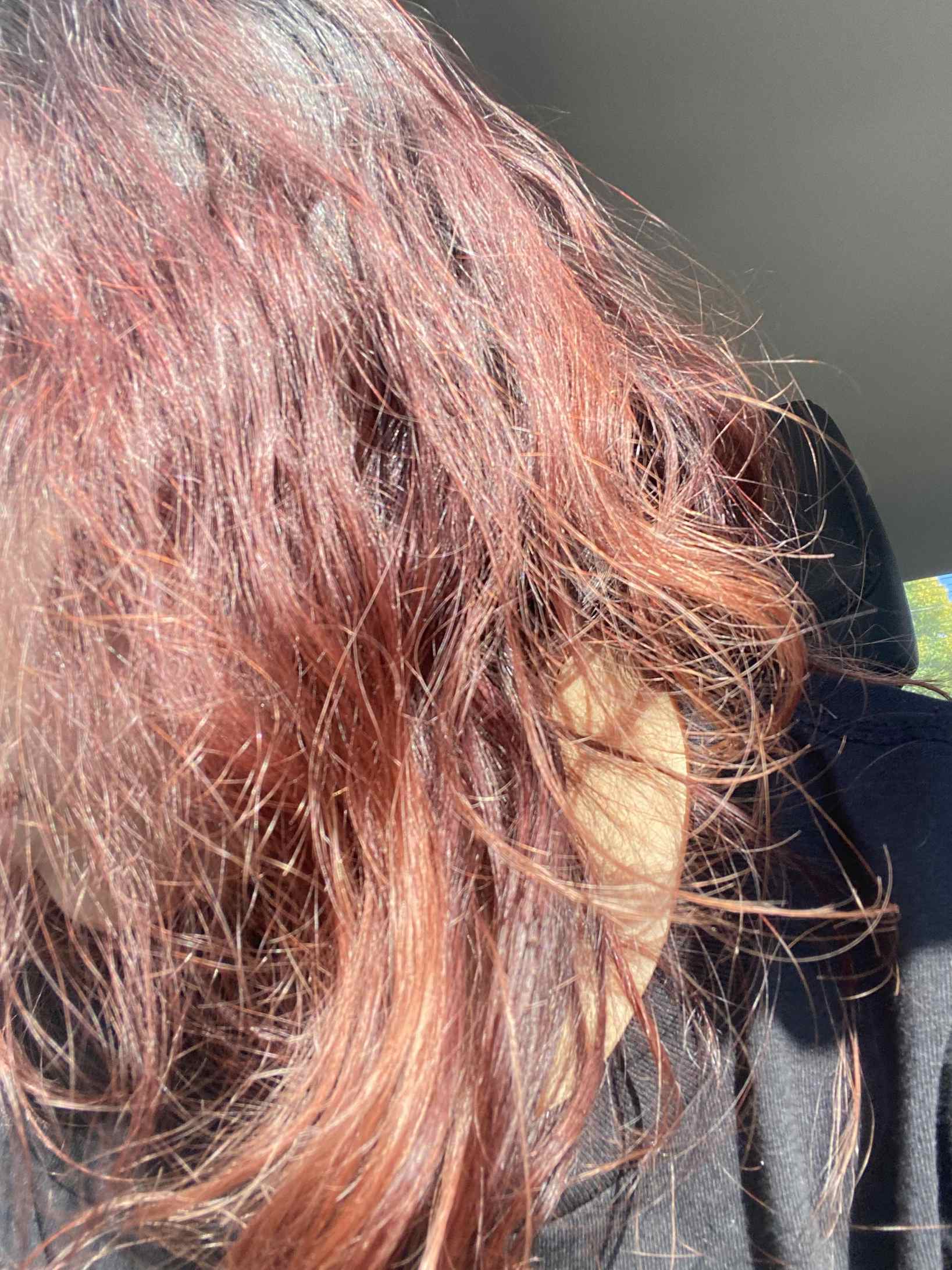 I’m Tired of Chasing My Red Hair in the Mirror