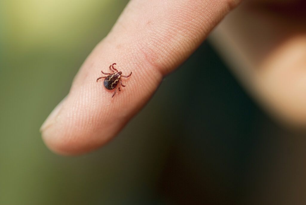 Almost Lost My Season to Lyme Disease 😰