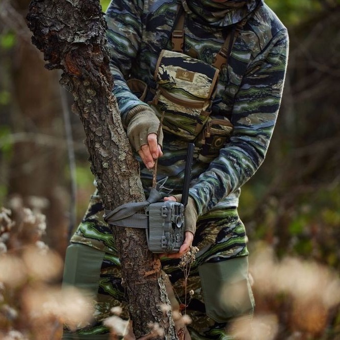 Do this in June for a better fall hunt! 🦌📷