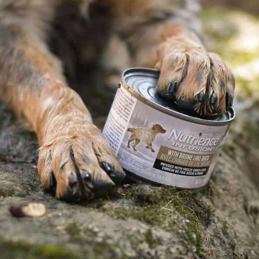 Dog food for coyote bait actually works! 🐺 