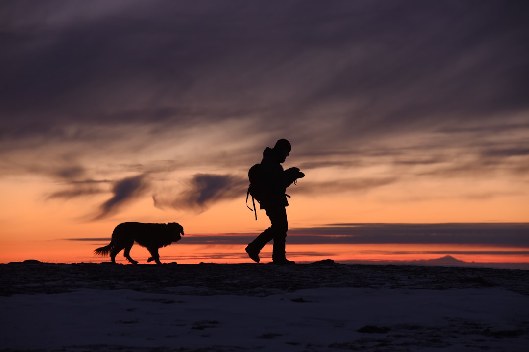 The Ultimate Pet Packing List for National Park Adventures 🐶🏞️