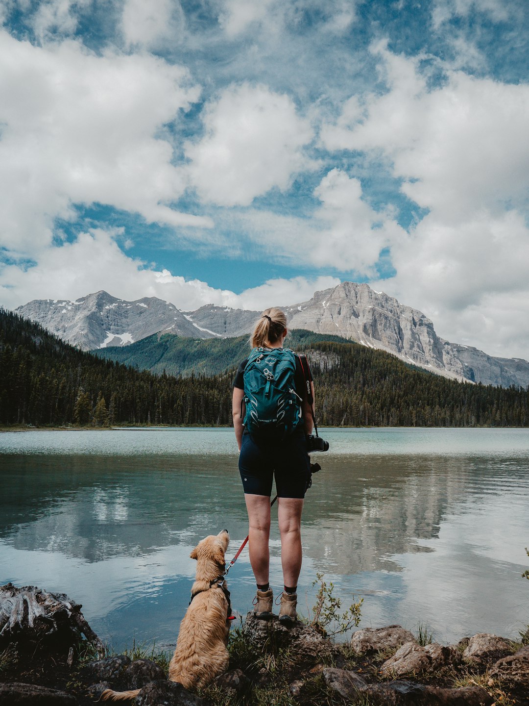 Responsible Pet Ownership in National Parks: Etiquette & Meaningful Moments 🐾🌲