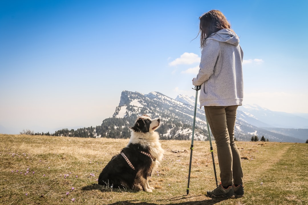 Make Memories That Matter: Pet-Friendly National Park Adventures 🐾🌲