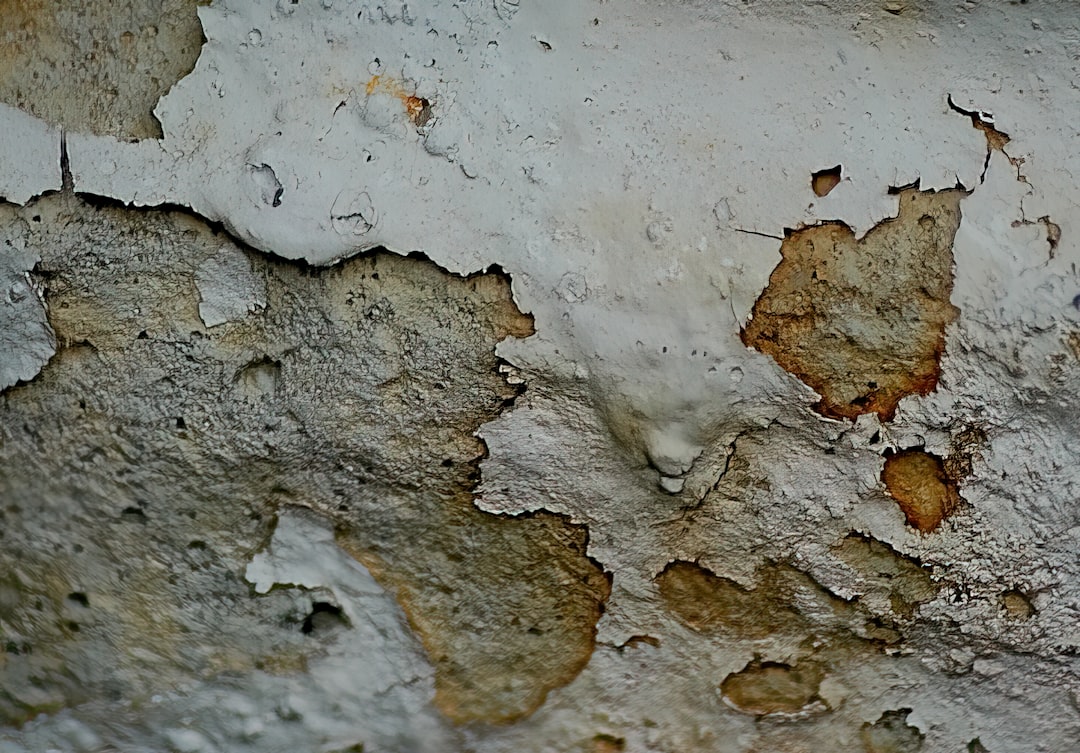 Walls That Weep, Dresses That Spin: Small Galleries, Big Stories This February