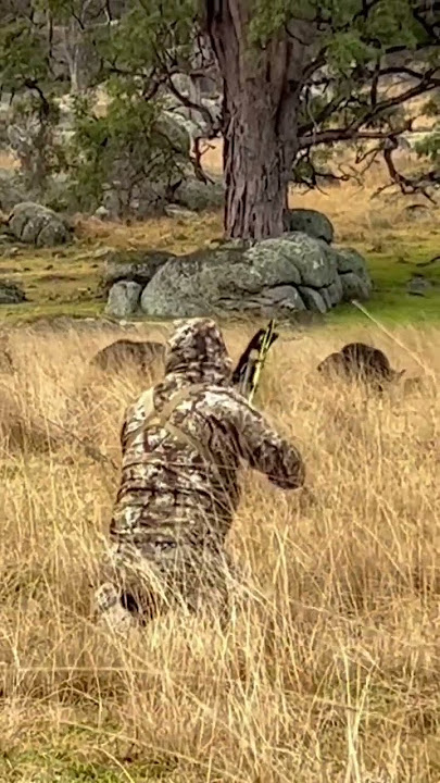 Ever question if hunting disrespects life?
