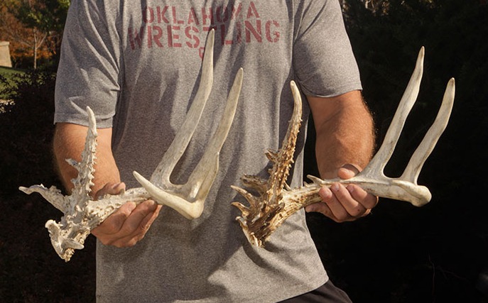 Found my first shed! Here's what worked 🦌