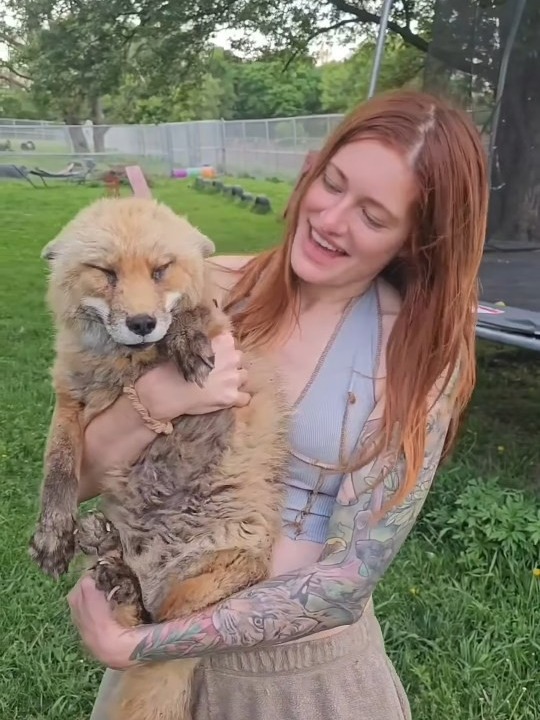 What kind of monster would bully an animal lover?!