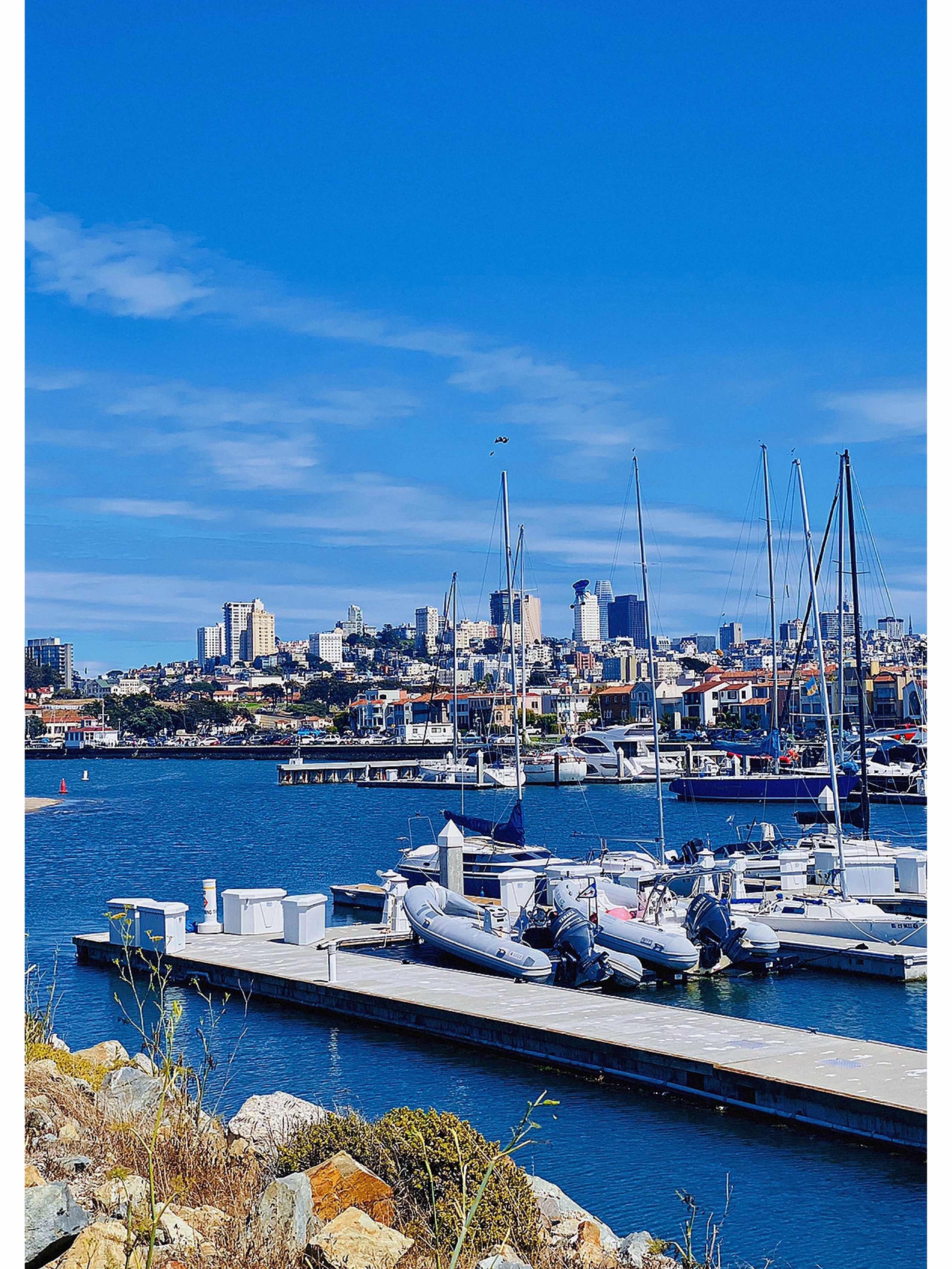San Francisco Travel Diary•Hidden Gem The Wave Organ
