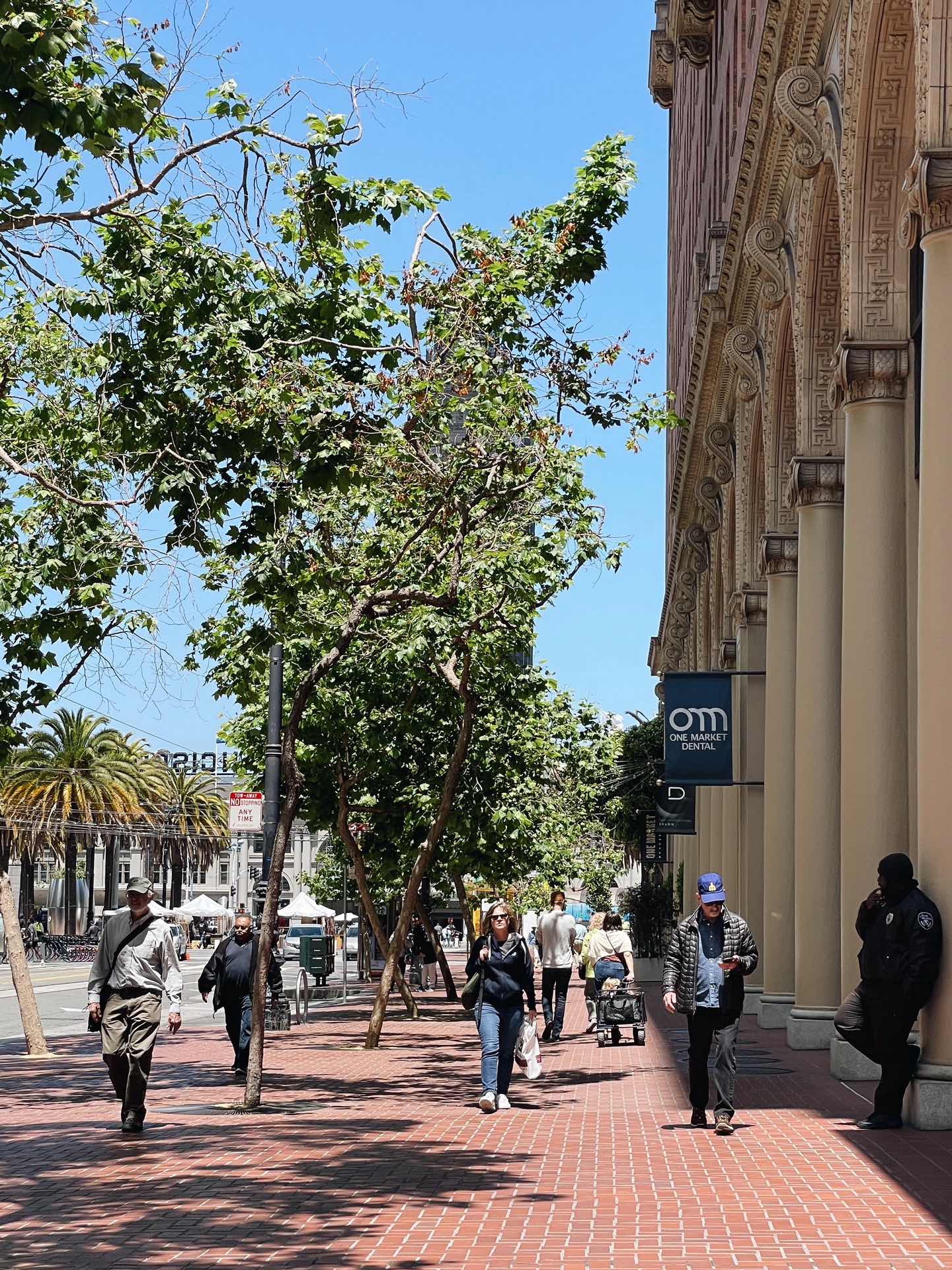 SF | 'I Don't Live in Seasons' 🍉