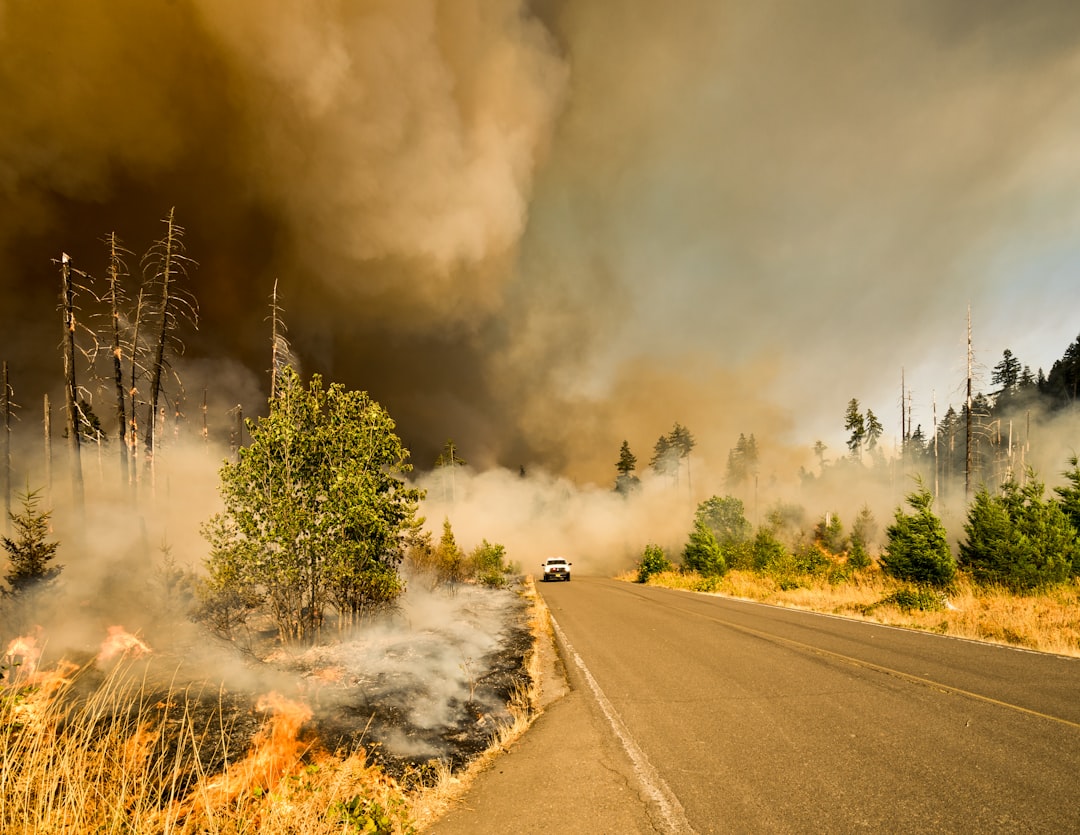 What Wildfire Survivors Want You to Know