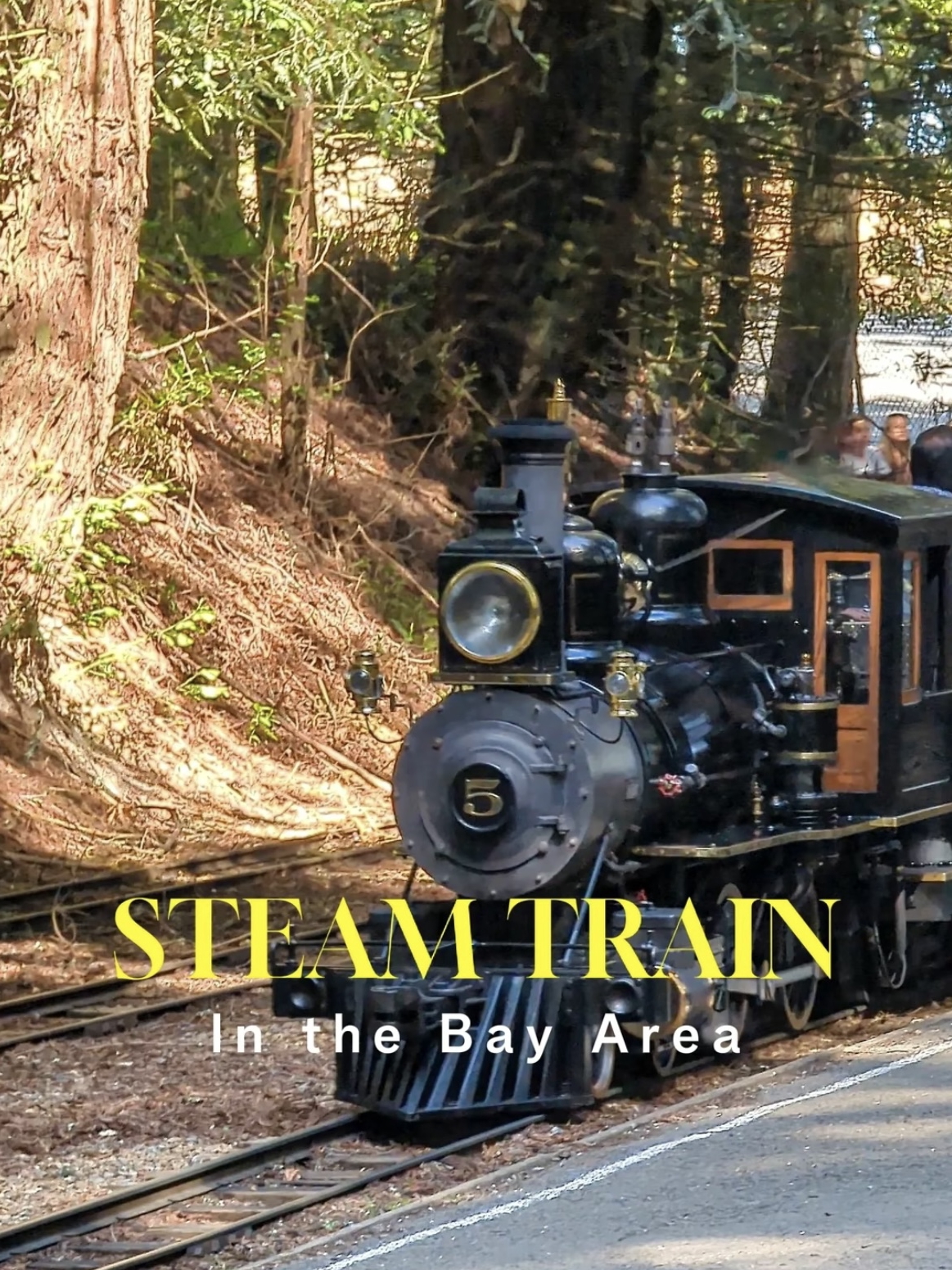 STEAM TRAIN